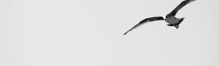 reise | ostsee 2013